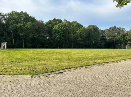 afbeelding voetbalveld